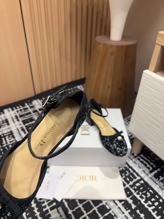 Dior Shoe 